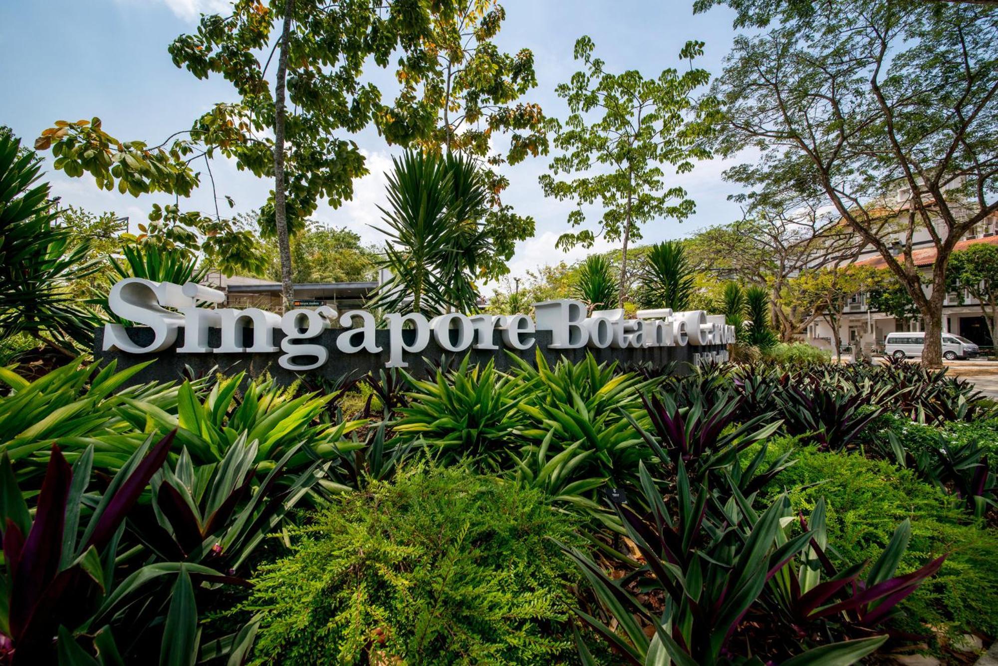 voco Orchard Singapur Exterior foto Singapore Botanic Gardens